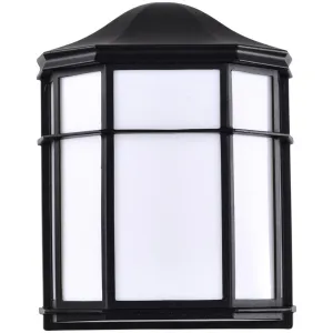 10 In. LED Outdoor Wall Lantern