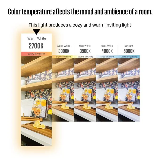 9 Watt (60 Watt Equivalent) A19 LED Light Bulb