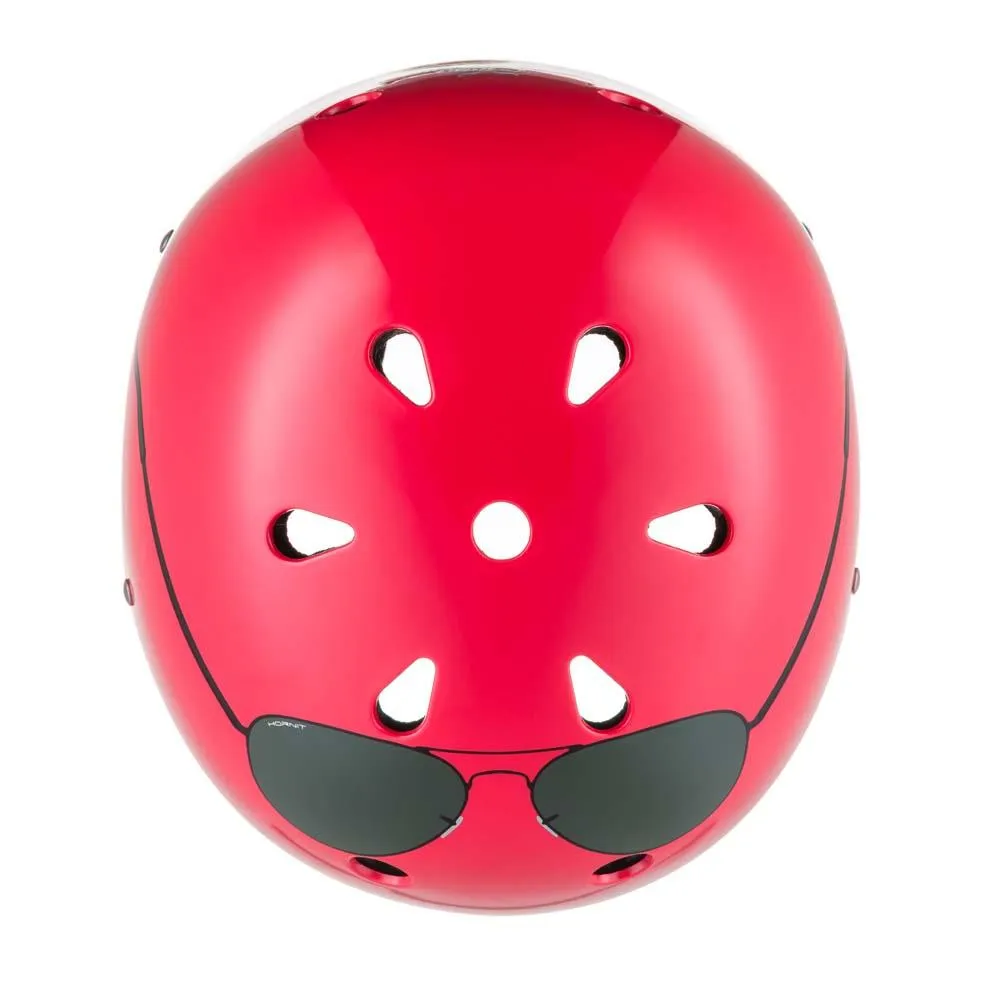 Aviator Helmet