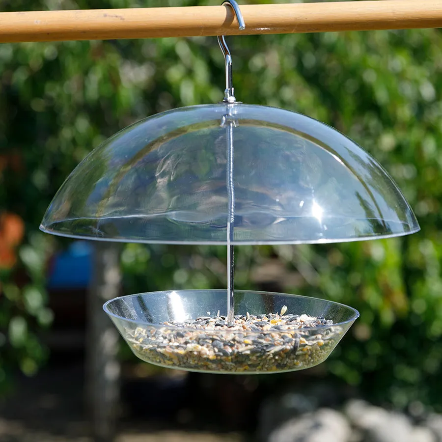 Clear Umbrella Bird Feeder