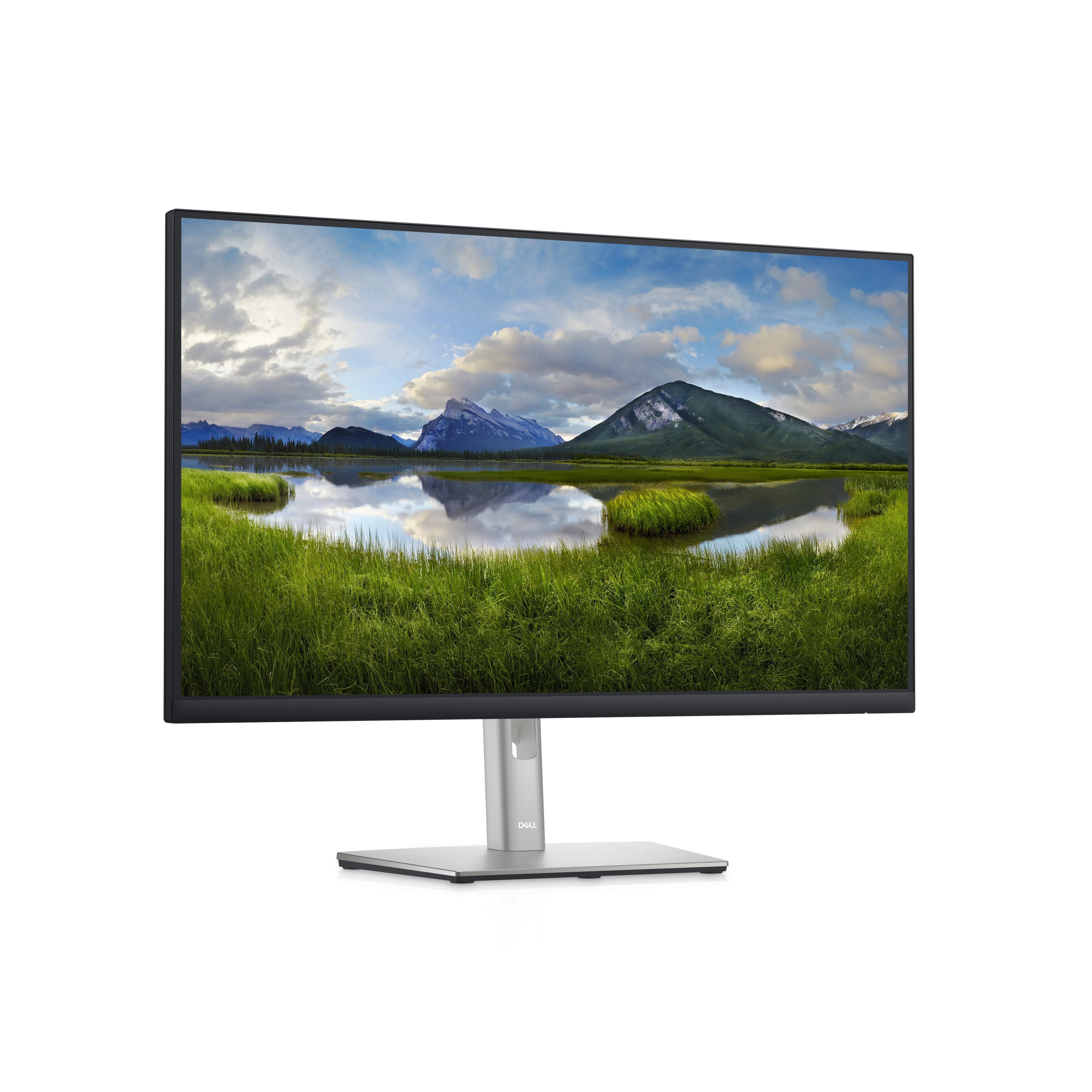 Dell 27 Monitor - P2722h - 68.6Cm (27)