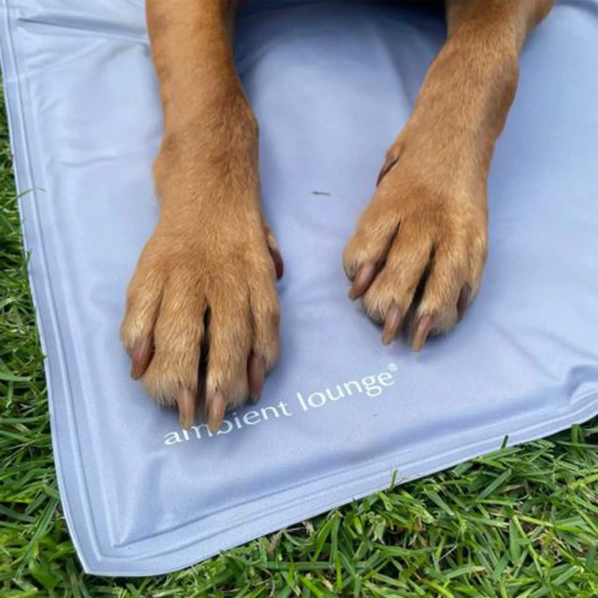 Large ThermoCool Multi-Purpose Dog Mat