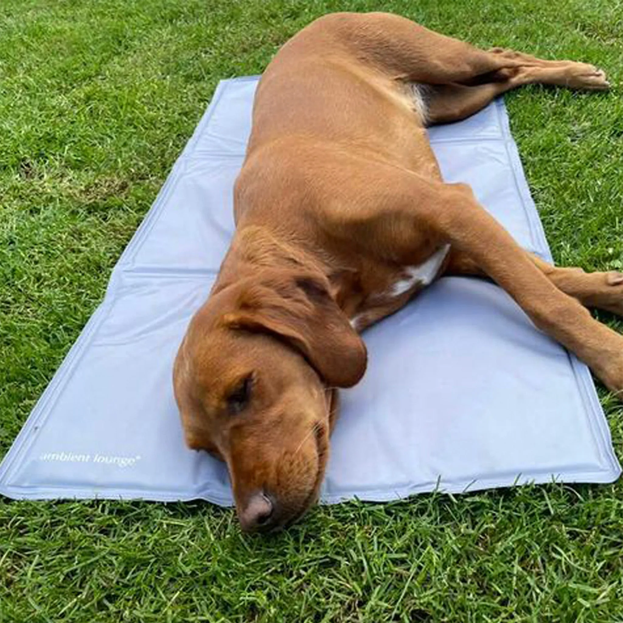 Large ThermoCool Multi-Purpose Dog Mat