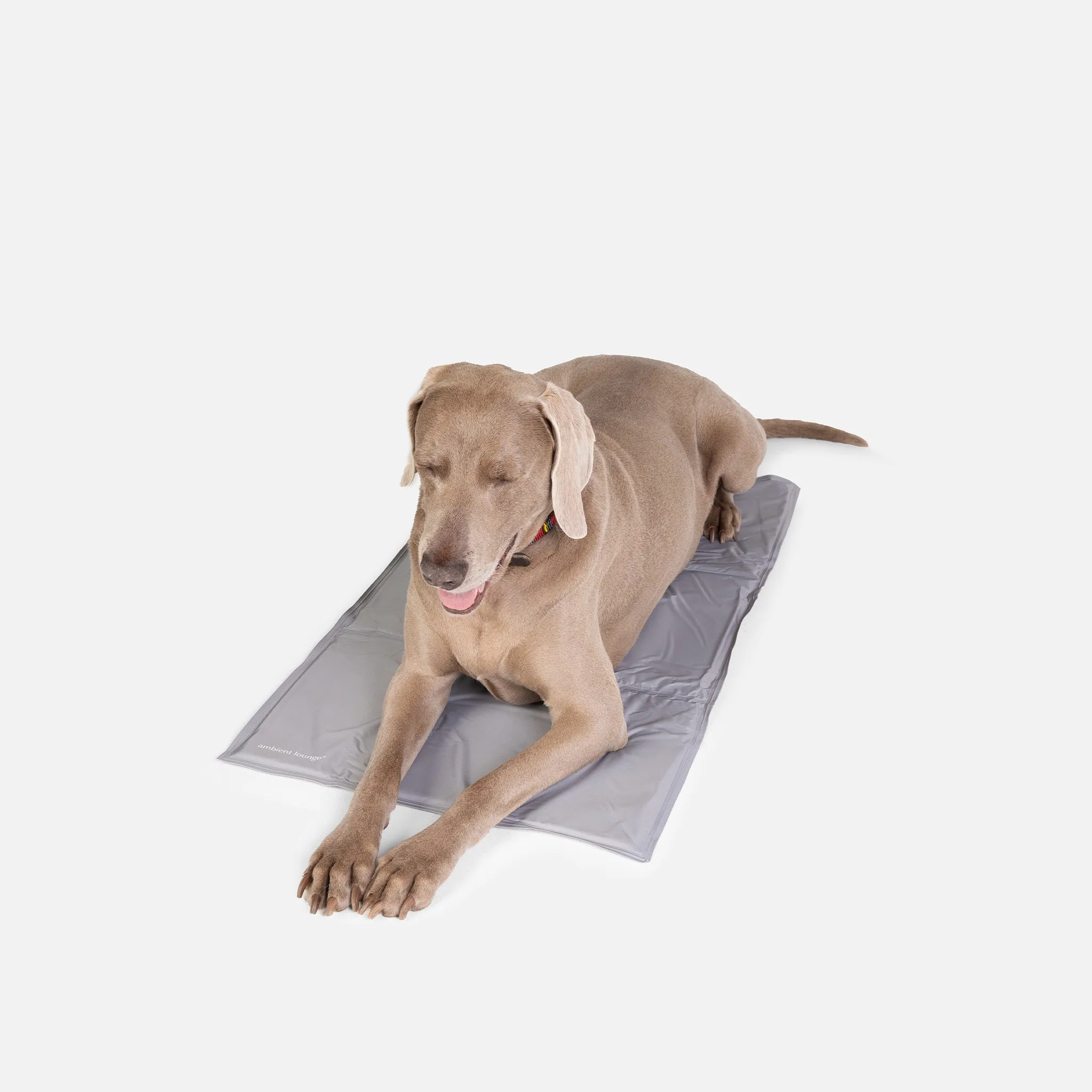 Large ThermoCool Multi-Purpose Dog Mat