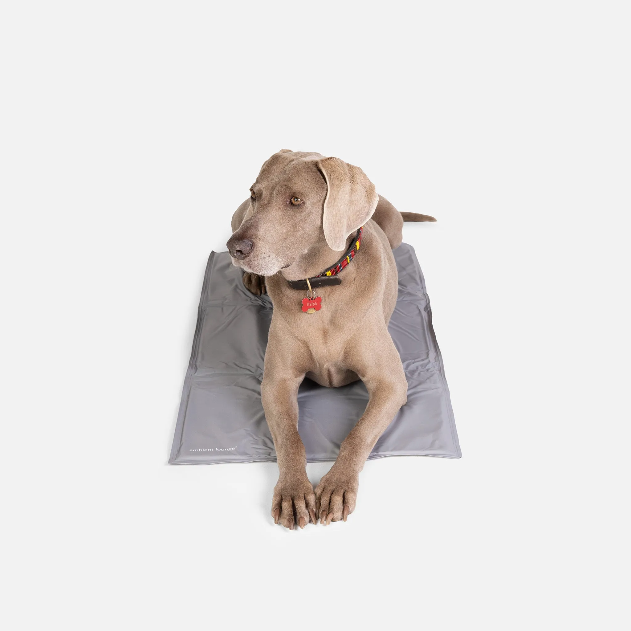 Large ThermoCool Multi-Purpose Dog Mat