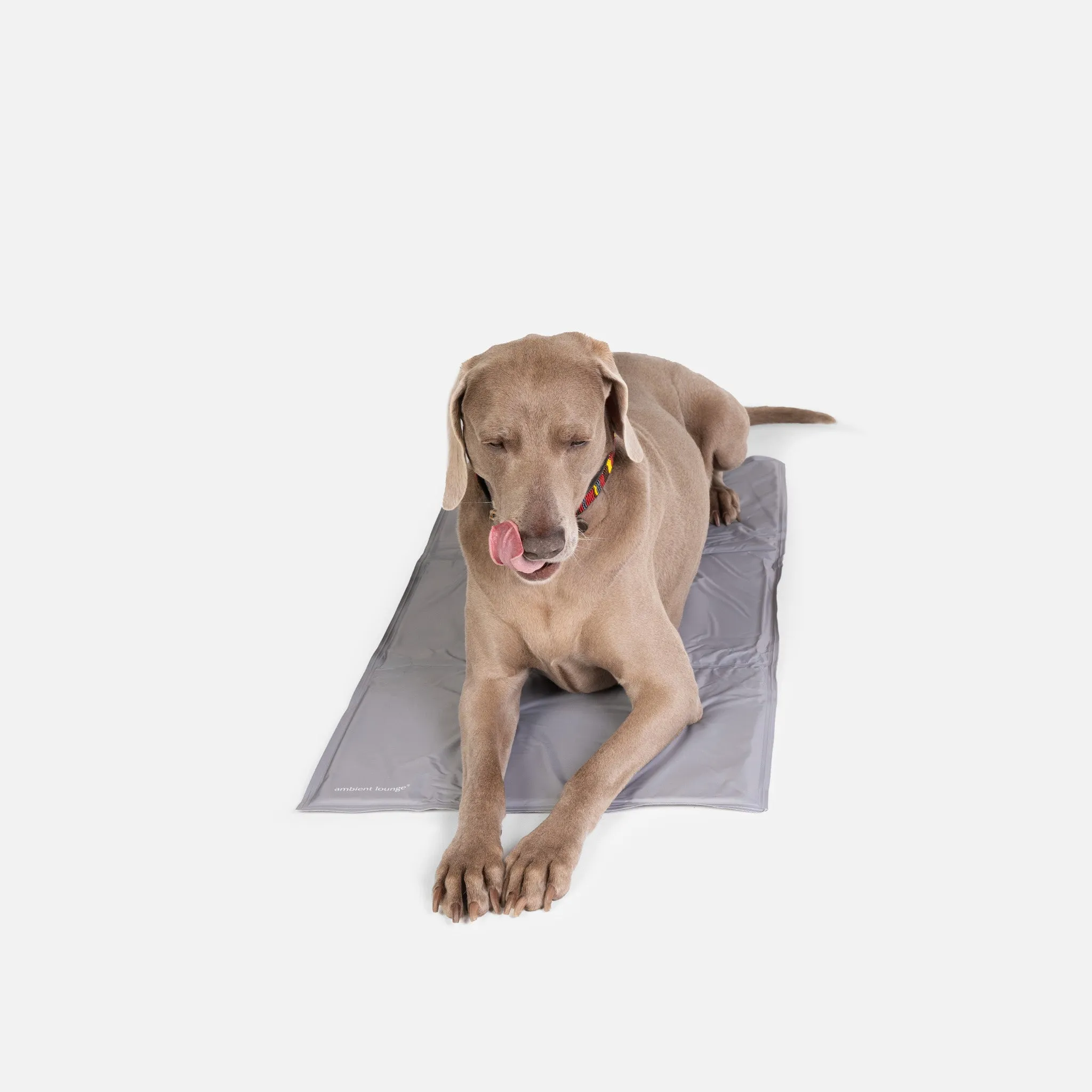 Large ThermoCool Multi-Purpose Dog Mat