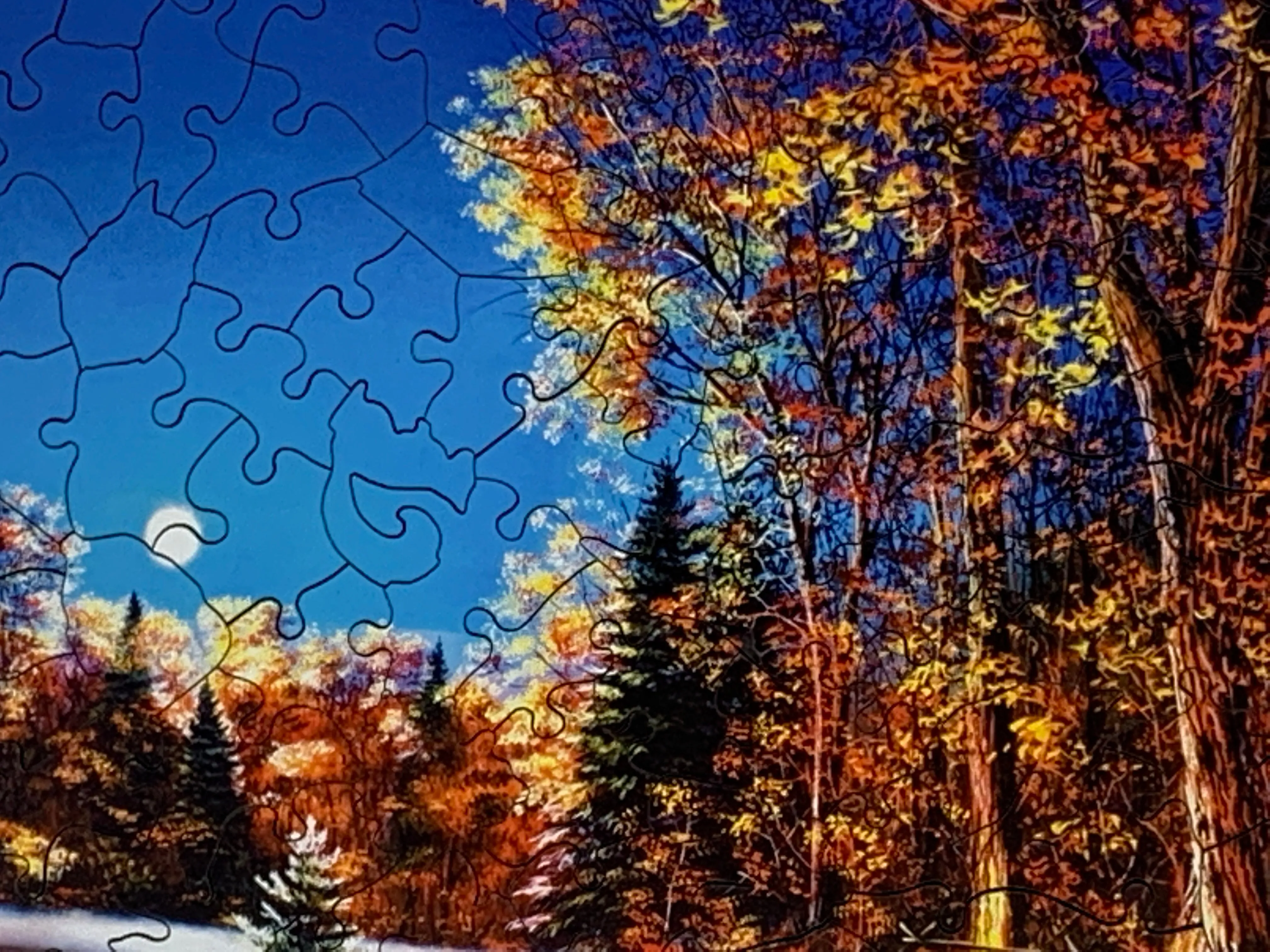 Still of the Night - 245 Piece Wooden Jigsaw Puzzle