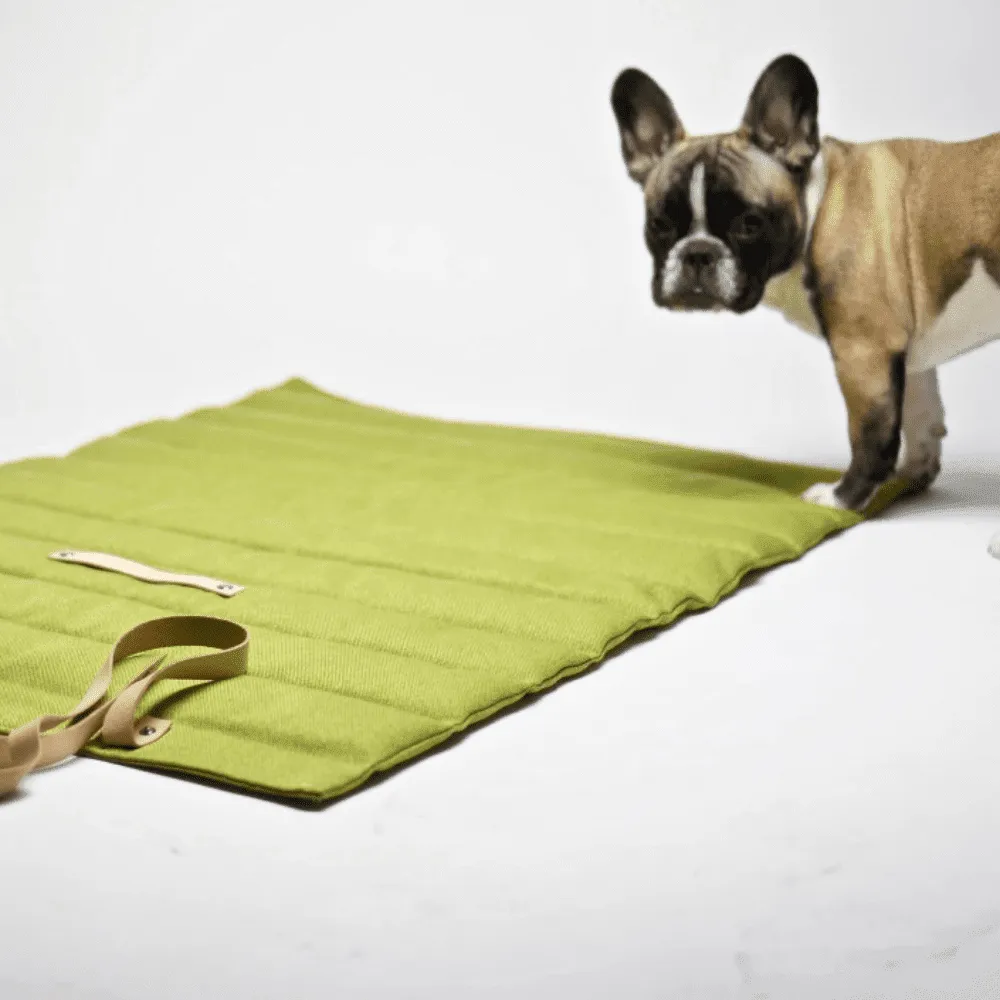 The FOSSER Dog Travel Bed by Labbvenn in Green